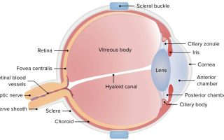 متى تتحسن الرؤية بعد عملية انفصال الشبكية