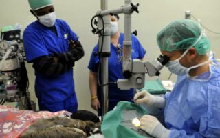 سحب الماء من العين