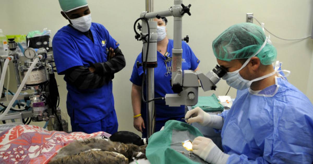 سحب الماء من العين