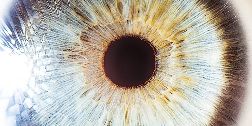 التهاب الشبكية الصباغي