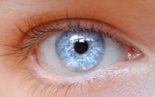 انواع العيون بالتفصيل