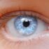 انواع العيون بالتفصيل