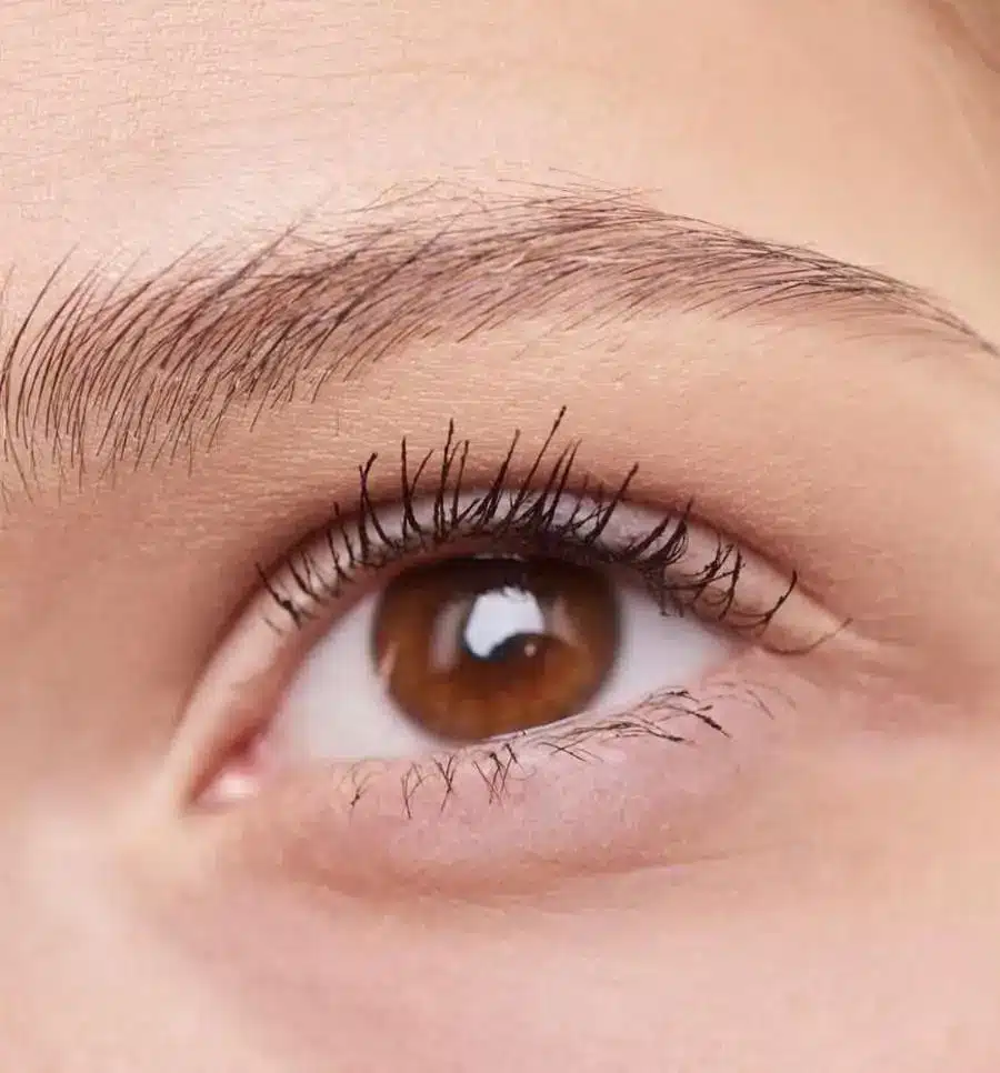 كيس دهني بالعين