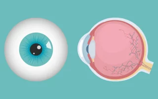 انحراف القرنية في العين