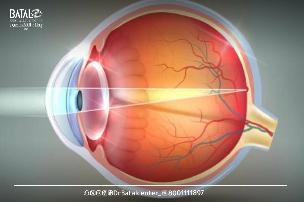 What is a healthy retina made of?