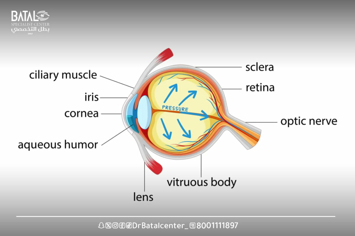 Causes of glaucoma and risk factors