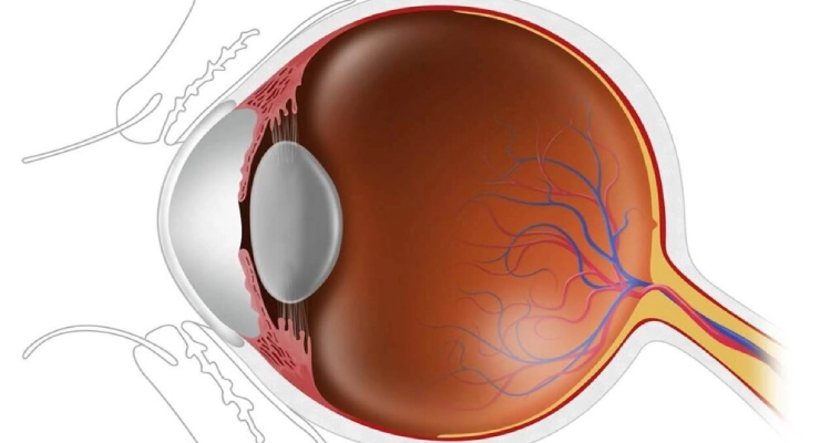 Retina and Cornea Services