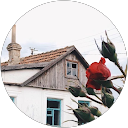 SHAHAD profile picture